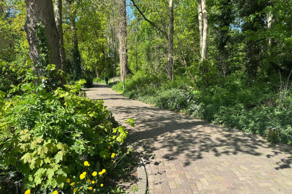 image00025